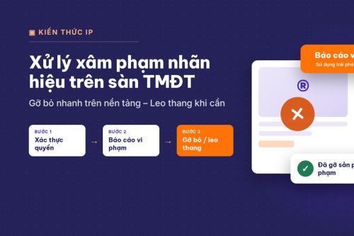 Quy trình xử lý xâm phạm nhãn hiệu trên Shopee, TikTok Shop, Lazada dành cho doanh nghiệp